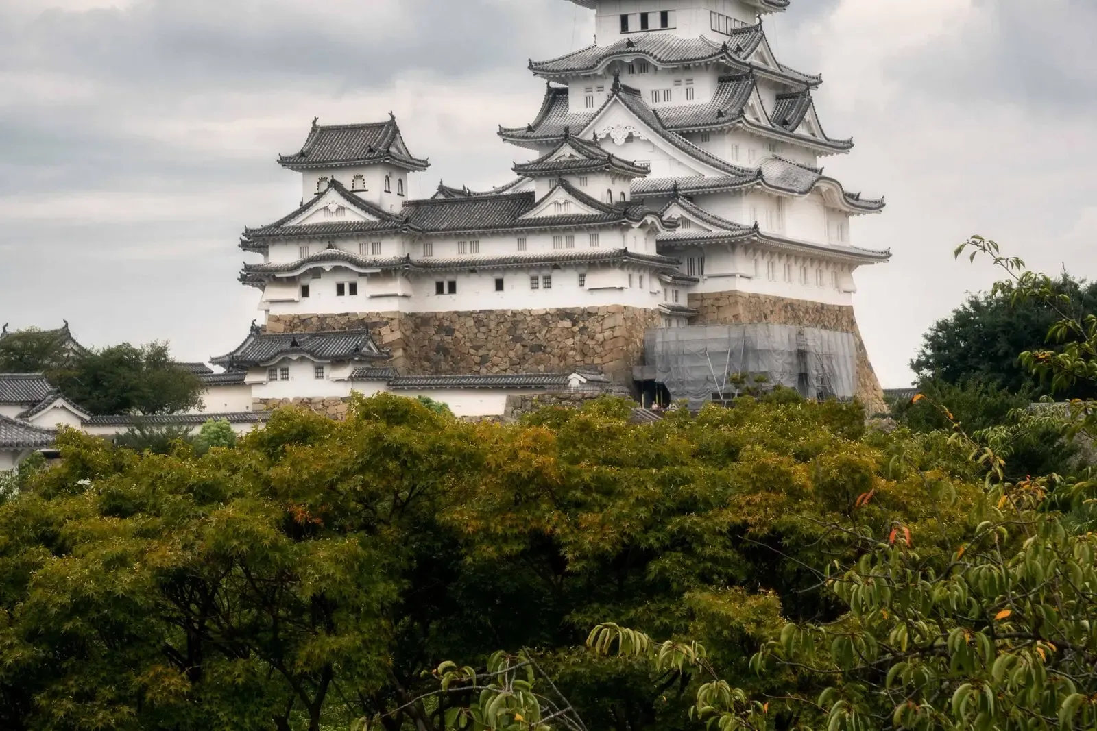 White Himeji Castle surrounded by trees in Hyogo, Japan