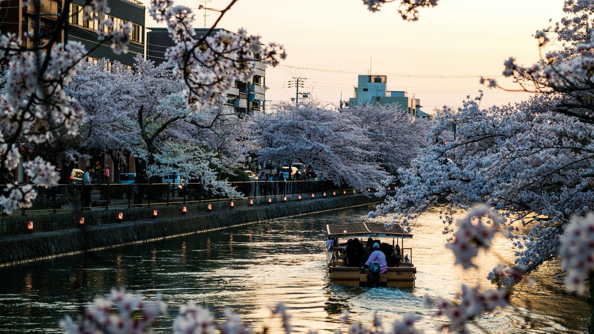 Kyoto Beyond the Temples: A Slower Side of Japan