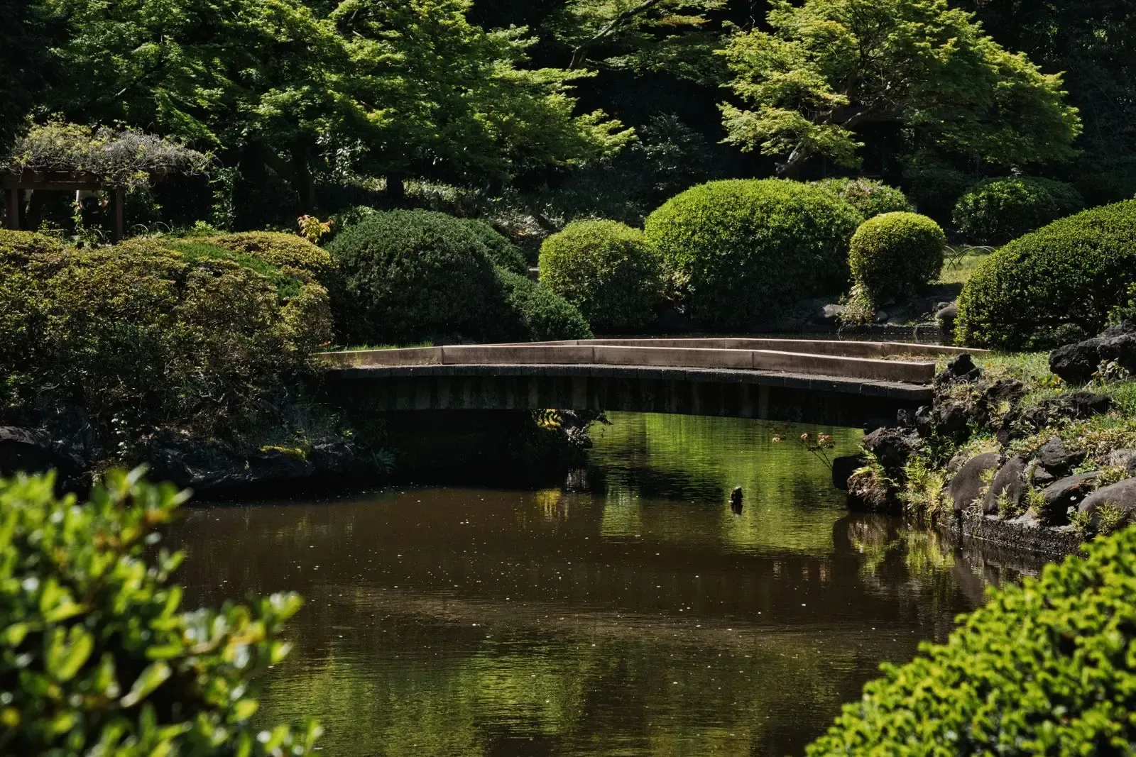 Greenery and city buildings reflected in a pond at Shinjuku Gyoen in Tokyo