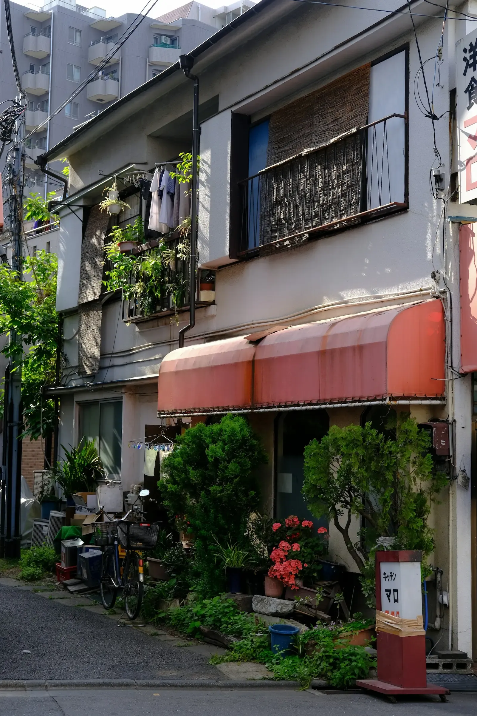 Traditional storefronts along a street in Yanaka Ginza, Tokyo