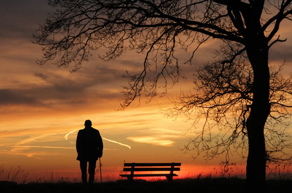 person alone forest silence nature
